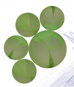 Billes Assorties MONSTRES 20/16mm+1/25mm - Swanp Thing - Vampire - Werewolf - Zombie - 20 Filets